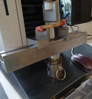 Bone test machine